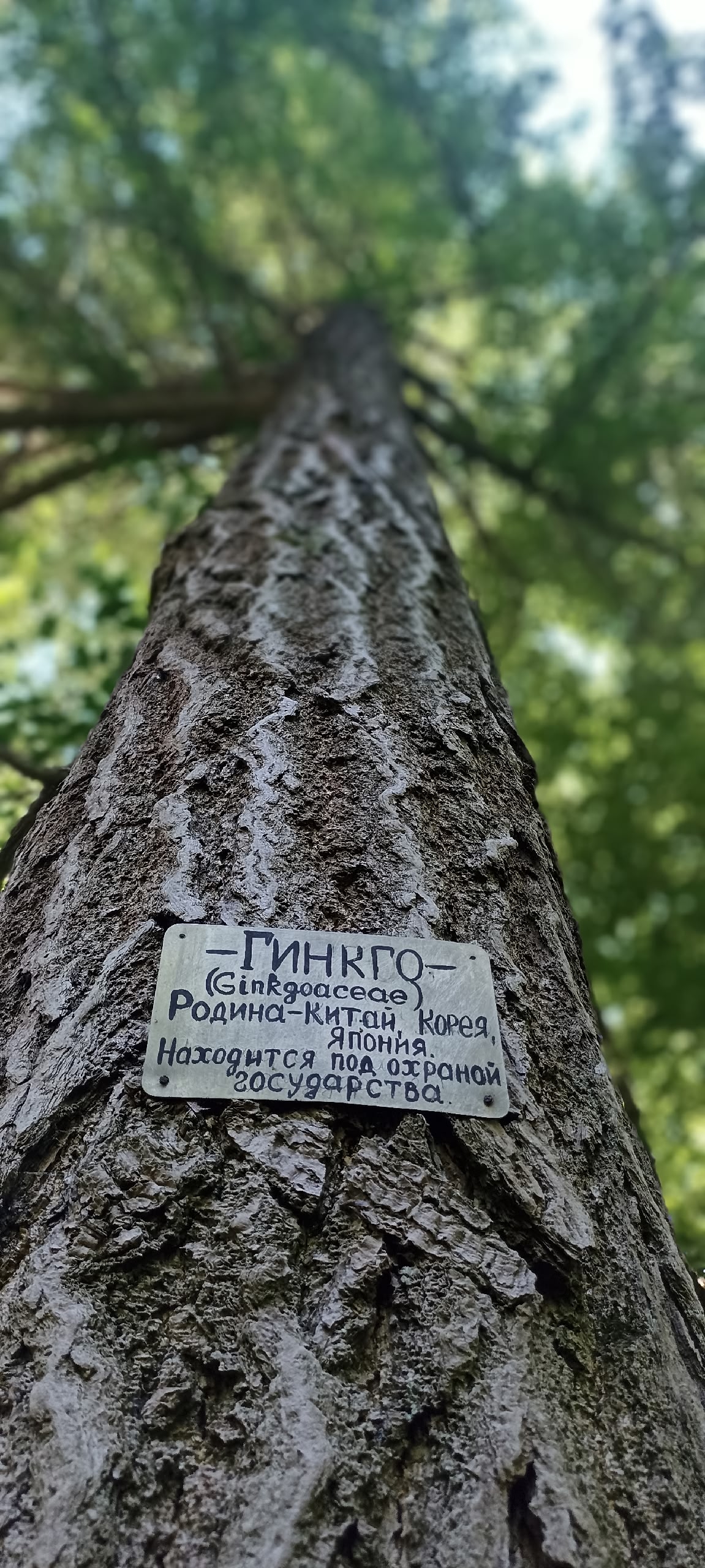 ​Парк Мичуринский